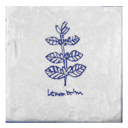 C-LEM