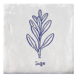 C-SAG