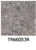 TR66053R