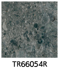 TR66054R