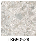 TR66052R