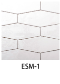 ESM-1