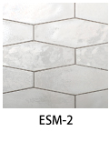 ESM-2
