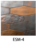 ESM-4