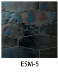 ESM-5